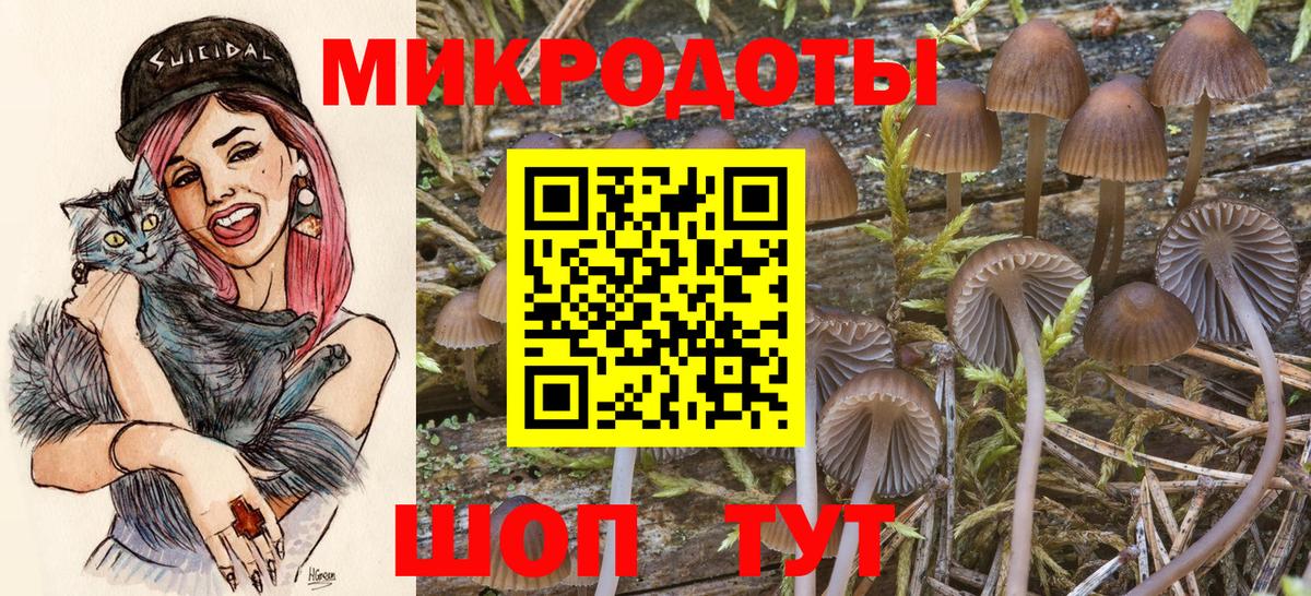 Псилоцибиновые грибы мицелий Назарово